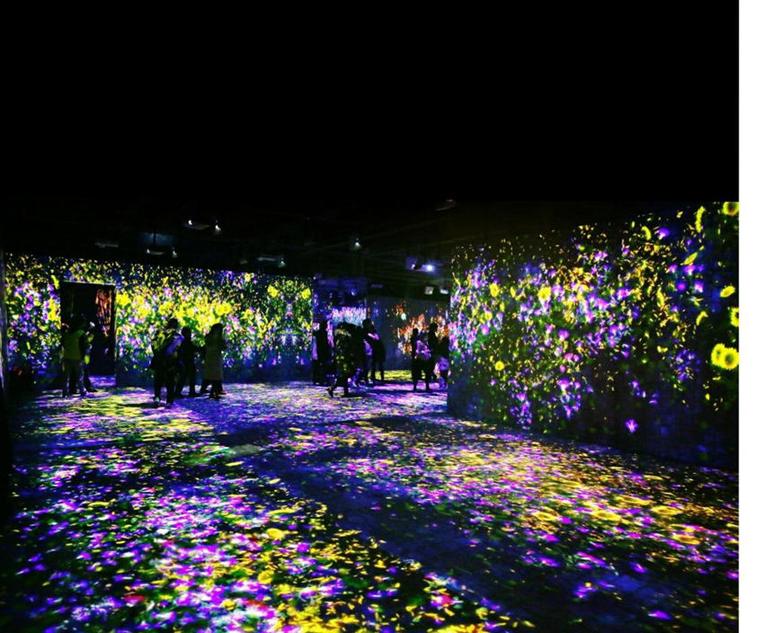 自贡彩灯与光影艺术结合，腾达彩灯设计部观灯学习。